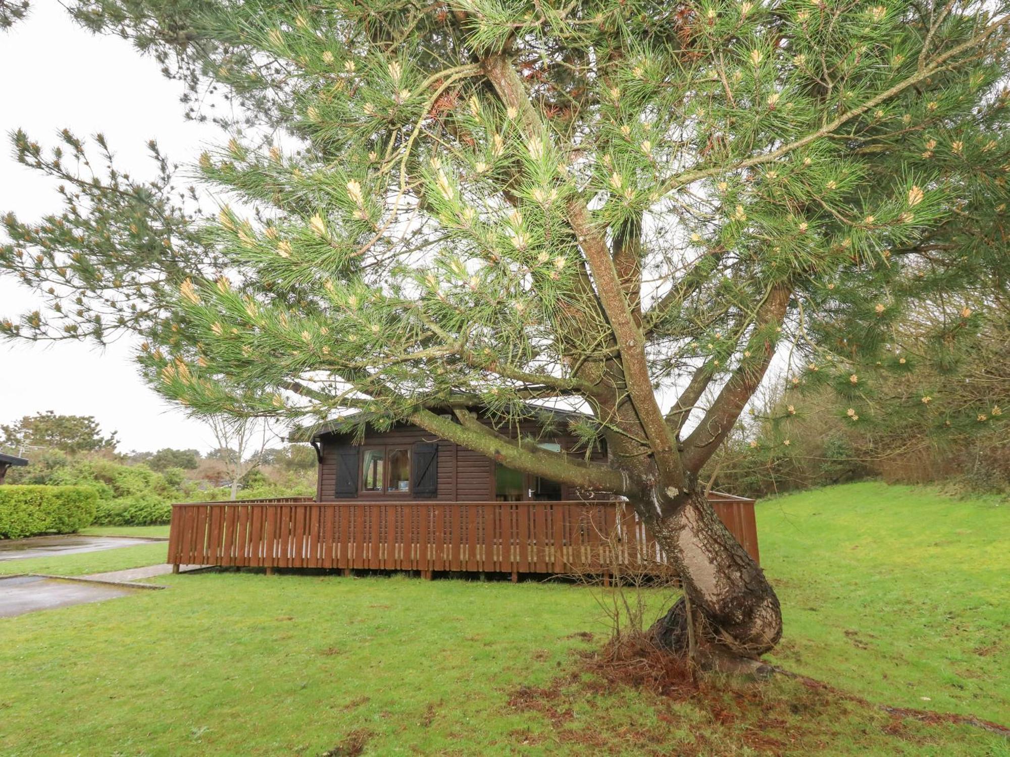 16 Amber Wood Lodge Lymington Εξωτερικό φωτογραφία