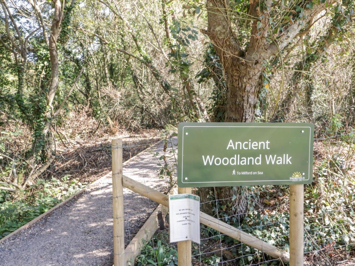 16 Amber Wood Lodge Lymington Εξωτερικό φωτογραφία